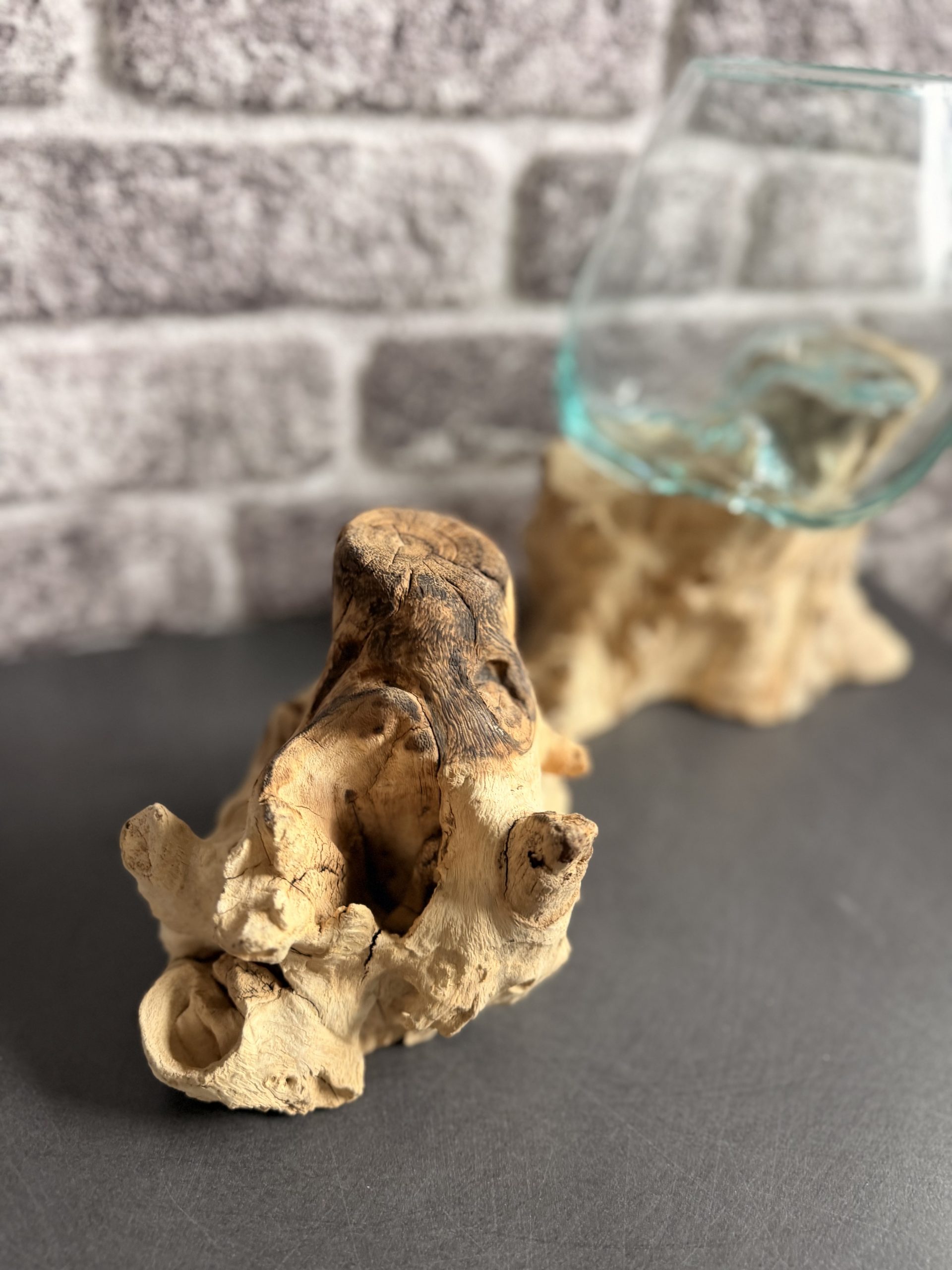 Wurzel mit Glasgefäß – Bild 6